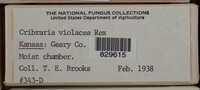 Image Associated With the Occurence